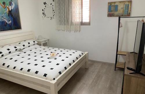 Shlomi Casa | בין יער לים