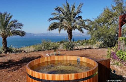 Ramot Cabina | בקתה בתמרים
