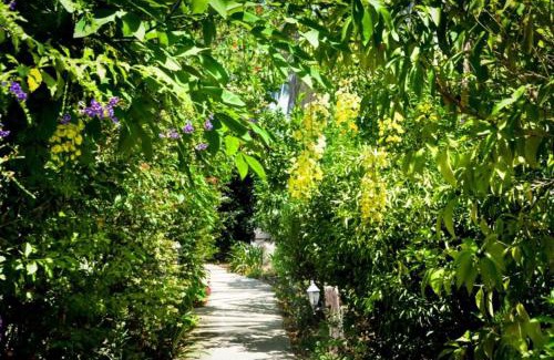 Ramot Cabina | בקתות מאיה רמות