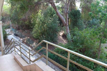 Haifa Apartamento | דירת 3 חדרים מקסימה באחוזה