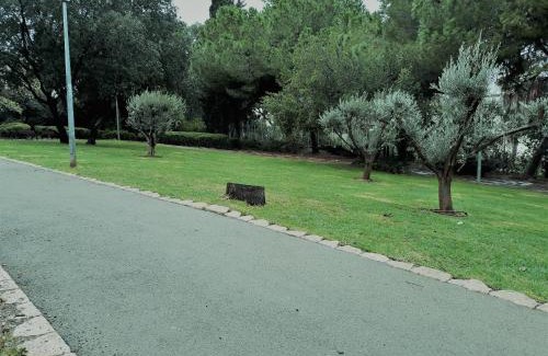 Haifa Apartamento | דירת 3 חדרים מקסימה באחוזה