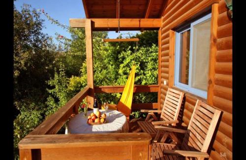Ramot Apartamento | החצר המוסיקלית רמות