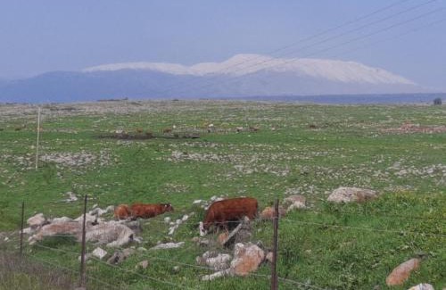 Bruchim Qela' Alon Apartamento | נוף לעמק