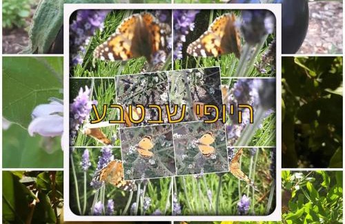 Tsiv'on Apartamento | צימרים מול הר מירון בצבעון בגליל העליון אורלי ומאיר,למשפחות ולזוגות