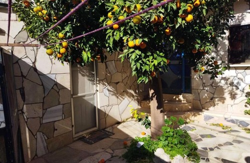 Safed Casa | צפת העיר שאין עוד כמוה בעולם
