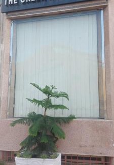 Abha Apartamento | البيت الأخضر - شقق مخدومة Green House