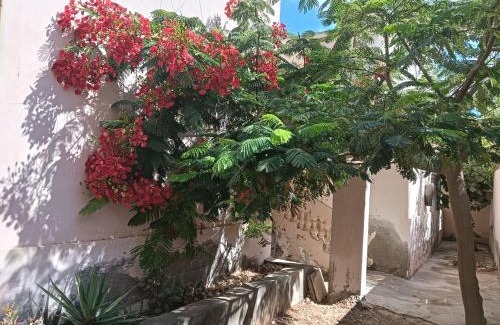 Marsa Matruh Villa | القصر الأزرق