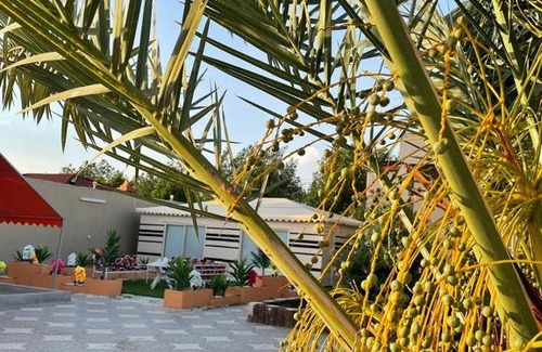 Taif Chalet De Esquí | شاليهات بشرى الطايف