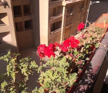 Al-Khalifa Apartamento | شقة كمبوند سما القاهرة