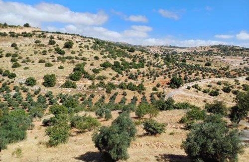 Ajloun Governorate Casa | عجلون صخره