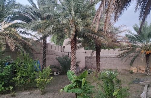 Nizwa Apartamento | عمان
