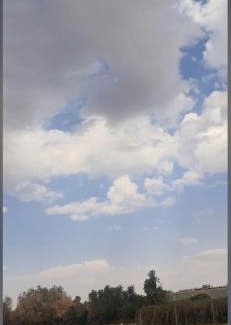 Ha'il Province Complejo | منتجع أرجوان