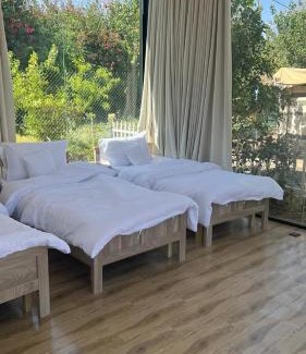Mizail Casa | منتجع سفاري ديور