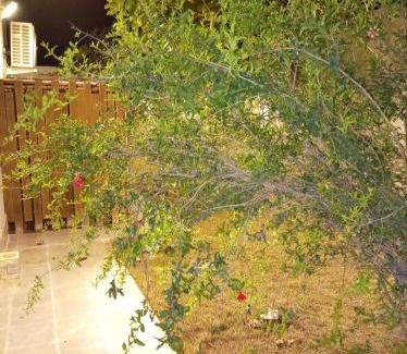 Rayyis Apartamento | نسيم لافا