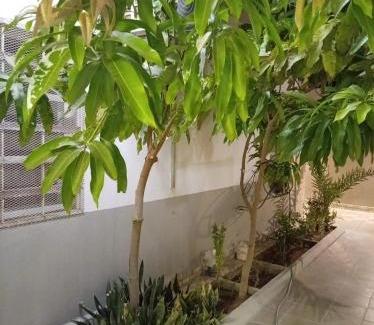 Rayyis Apartamento | نسيم لافا