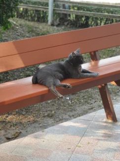 Lampang Casa | จำค่า ชาเลท์ บ้านพักสวนเกษตร (Jumka Chalet - Home and Farm Stay)