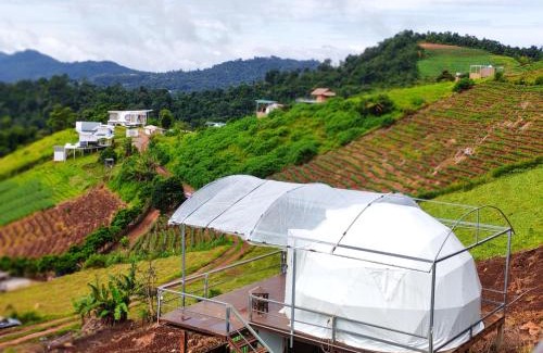 Mae Rim Complejo | ชูชัยฟาร์มสเตย์ ม่อนแจ่ม