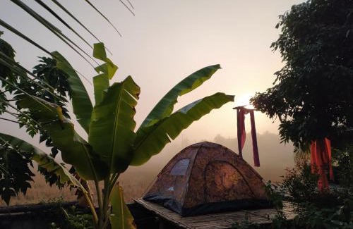 Nan Casa | ต้งโฮมสเตย์ กลางทุ่งนา Local Homestay and View