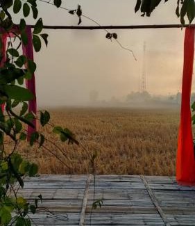 Nan Casa | ต้งโฮมสเตย์ กลางทุ่งนา Local Homestay and View