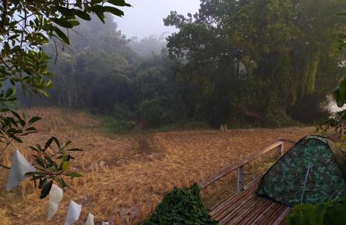 Nan Casa | ต้งโฮมสเตย์ กลางทุ่งนา Local Homestay and View