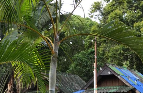 Ko Chang Chalet De Esquí | บ้านตำหนักช้าง
