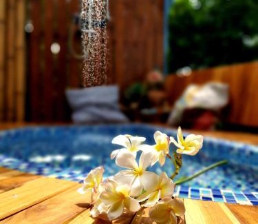 Sena Casa | บ้านนกฮูกอิงไม้ ริมเล