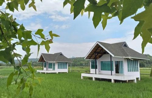 Chiang Dao Casa | บ้านผ่อดอยกอยดาวพรีเมี่ยม