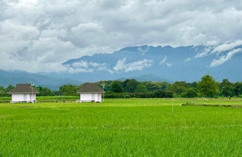 Chiang Dao Casa | บ้านผ่อดอยกอยดาวพรีเมี่ยม