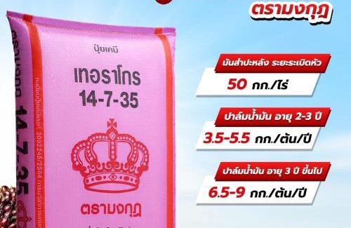 Pathio Apartamento | บ้านริมหาดพูลวิลล่าบางเบิด