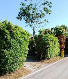 Samut Sakhon Casa | บ้านสโนว์เขาค้อ