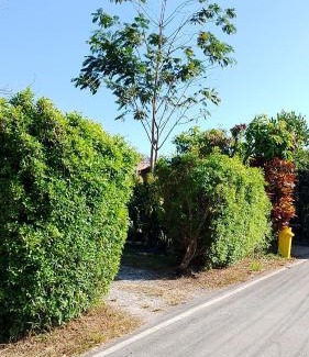 Khaem Son Casa | บ้านสโนว์เขาค้อ