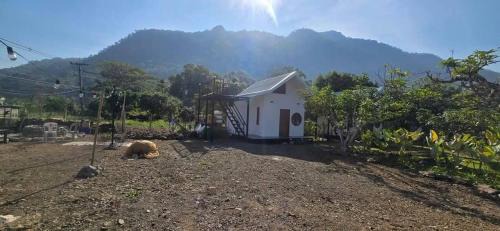 Chiang Dao Casa | ปิงโค้งเม้าท์เท่นวิว