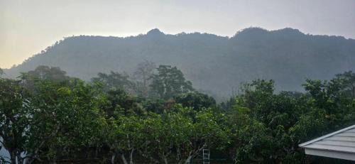 Chiang Dao Casa | ปิงโค้งเม้าท์เท่นวิว