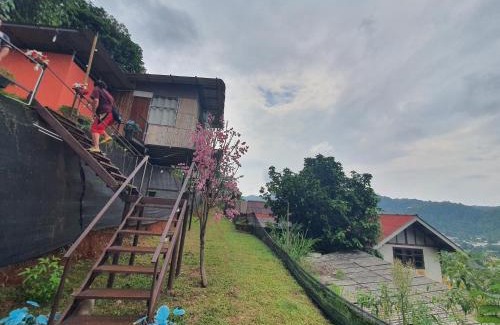 Pong Yaeng Otro | พิงดอย โป่งแยง