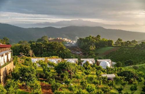 Mae Rim Otro | ภูแสงเทียน โฮมสเตย์