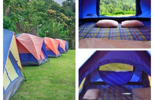 Mae Rim Otro | ม่อนหนาว ลานกางเต็นท์
