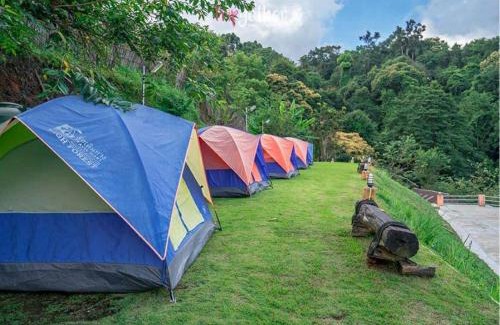 Mae Rim Otro | ม่อนหนาว ลานกางเต็นท์
