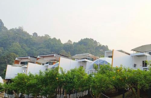Mae Rim Otro | ม่อนหมอกฟ้า ม่อนแจ่ม