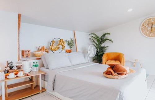 Mae Rim Casa | ม่อนเหนือโฮมสเตย์ Monnuea Homestay