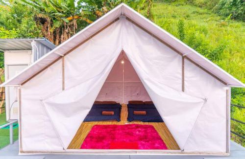 Mae Rim Otro | ม่อน ซากุระ ม่อนแจ่ม
