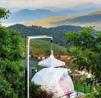 Mae Rim Otro | ม่อน ซากุระ ม่อนแจ่ม