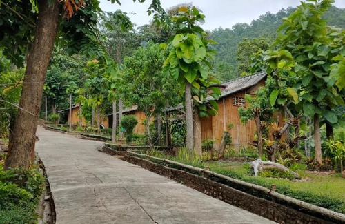 Pang Mu Casa | ลิ้นฟ้าแคมป์ปิ้งรีสอร์ท