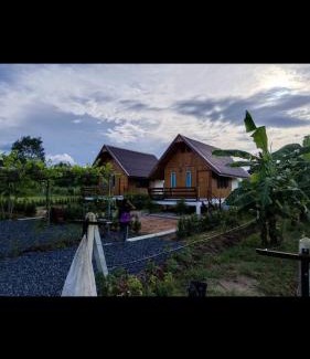 Sikhio Casa | สวนเบอร์รีแคมป์ทนายจุฬา Berry Camp Korat