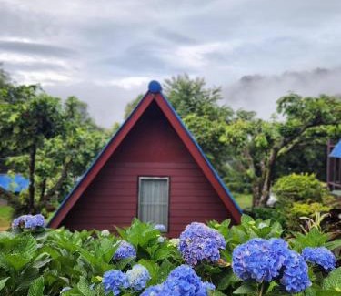 Tap Tao Chalet De Esquí | อุกฤษฟาร์มฮิลล์ ภูชี้ฟ้า