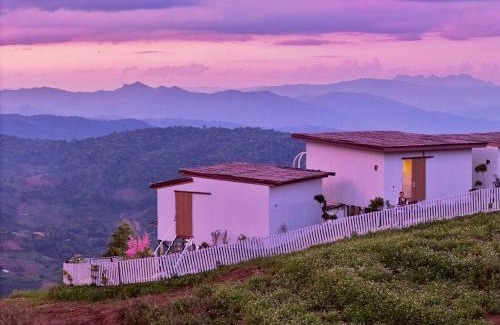 Mae Rim Otro | ไร่ดอยช้าง ม่อนเเจ่ม
