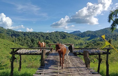 Mok Cham Pae Casa | ไร่นิธิสุนทร nithisoonthon farmstay
