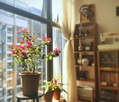 Gia Lam Apartamento | Ổ nhỏ của Hằng