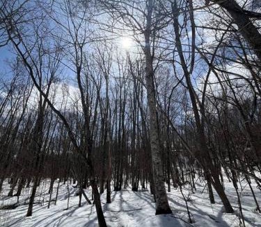 Yobito Apartamento | アラン別邸自然溢れる呼人の一軒家