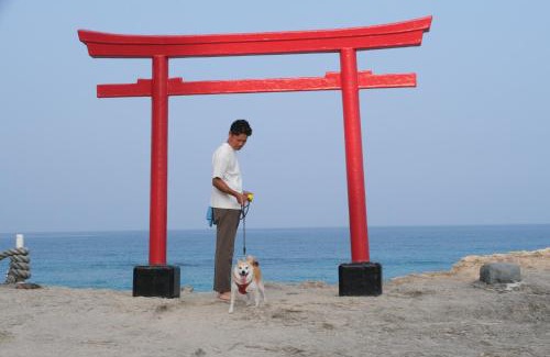 Shirahama Villa | イヌサウナリゾート伊豆白浜 愛犬と家族と整うラグジュアリーヴィラ