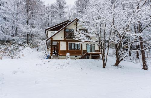 Shinano Apartamento | ラ・コリナ リトリート La Colina Retreat